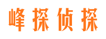 万安市调查公司